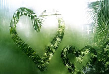 BWIN必赢官网：篮球公园曾凡博.